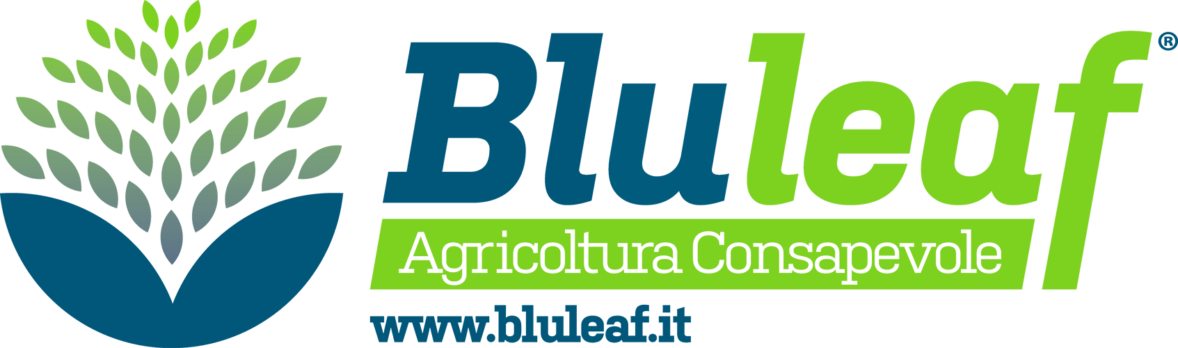 Bluleaf Support